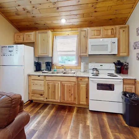 Rough Cut Lodge Gaines Exterior photo